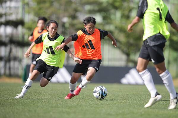 사진=한국프로축구연맹