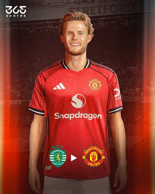 사진=365 스코어