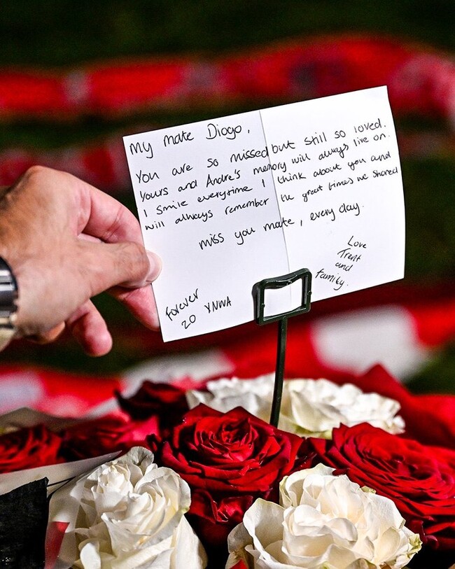 사진=로마노 기자 SNS